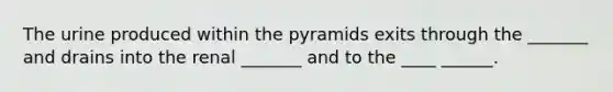 The urine produced within the pyramids exits through the _______ and drains into the renal _______ and to the ____ ______.