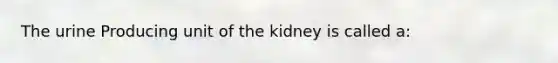 The urine Producing unit of the kidney is called a: