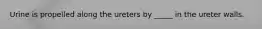 Urine is propelled along the ureters by _____ in the ureter walls.