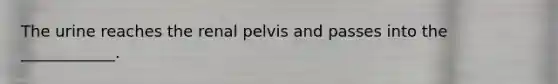 The urine reaches the renal pelvis and passes into the ____________.