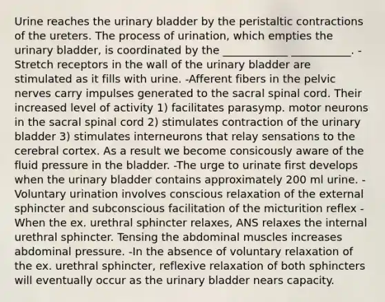 Urine reaches the urinary bladder by the peristaltic contractions of the ureters. The process of urination, which empties the urinary bladder, is coordinated by the ____________ ___________. -Stretch receptors in the wall of the urinary bladder are stimulated as it fills with urine. -Afferent fibers in the pelvic nerves carry impulses generated to the sacral spinal cord. Their increased level of activity 1) facilitates parasymp. motor neurons in the sacral spinal cord 2) stimulates contraction of the urinary bladder 3) stimulates interneurons that relay sensations to the cerebral cortex. As a result we become consicously aware of the fluid pressure in the bladder. -The urge to urinate first develops when the urinary bladder contains approximately 200 ml urine. -Voluntary urination involves conscious relaxation of the external sphincter and subconscious facilitation of the micturition reflex -When the ex. urethral sphincter relaxes, ANS relaxes the internal urethral sphincter. Tensing the abdominal muscles increases abdominal pressure. -In the absence of voluntary relaxation of the ex. urethral sphincter, reflexive relaxation of both sphincters will eventually occur as the urinary bladder nears capacity.