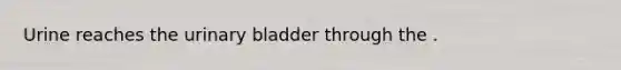 Urine reaches the <a href='https://www.questionai.com/knowledge/kb9SdfFdD9-urinary-bladder' class='anchor-knowledge'>urinary bladder</a> through the .