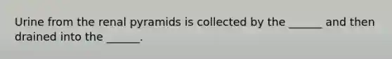 Urine from the renal pyramids is collected by the ______ and then drained into the ______.