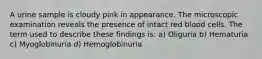 A urine sample is cloudy pink in appearance. The microscopic examination reveals the presence of intact red blood cells. The term used to describe these findings is: a) Oliguria b) Hematuria c) Myoglobinuria d) Hemoglobinuria