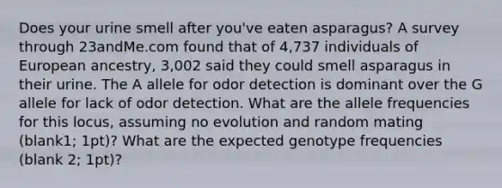 Does your urine smell after you've eaten asparagus? A survey through 23andMe.com found that of 4,737 individuals of European ancestry, 3,002 said they could smell asparagus in their urine. The A allele for odor detection is dominant over the G allele for lack of odor detection. What are the allele frequencies for this locus, assuming no evolution and random mating (blank1; 1pt)? What are the expected genotype frequencies (blank 2; 1pt)?