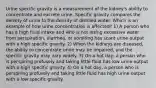 Urine specific gravity is a measurement of the kidney's ability to concentrate and excrete urine. Specific gravity compares the density of urine to the density of distilled water. Which is an example of how urine concentration is affected? 1) A person who has a high fluid intake and who is not losing excessive water from perspiration, diarrhea, or vomiting has scant urine output with a high specific gravity. 2) When the kidneys are diseased, the ability to concentrate urine may be impaired, and the specific gravity may vary widely. 3) On a hot day, a person who is perspiring profusely and taking little fluid has low urine output with a high specific gravity. 4) On a hot day, a person who is perspiring profusely and taking little fluid has high urine output with a low specific gravity.