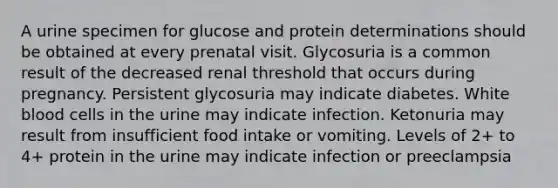 A urine specimen for glucose and protein determinations should be obtained at every prenatal visit. Glycosuria is a common result of the decreased renal threshold that occurs during pregnancy. Persistent glycosuria may indicate diabetes. White blood cells in the urine may indicate infection. Ketonuria may result from insufficient food intake or vomiting. Levels of 2+ to 4+ protein in the urine may indicate infection or preeclampsia