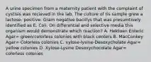 A urine specimen from a maternity patient with the complaint of cystisis was recieved in the lab. The culture of tis sample grew a lactose- positive. Gram negative bacillys that was presumtively identified as E. Coli. On differential and selective media this organism would demonstrate which reaction? A. Hektoen Enteric Agar= green/colorless colonies with black centers B. MacConkey Agar= Colorless colonies C. xylose-lysine-Desoxycholate Agar= yellow colonies D. Xylose-Lysine Desoxychocolate Agar= colorless colonies