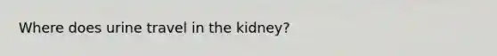 Where does urine travel in the kidney?