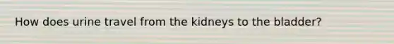 How does urine travel from the kidneys to the bladder?