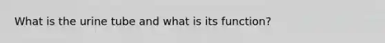 What is the urine tube and what is its function?