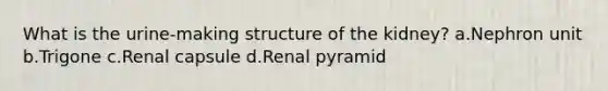 What is the urine-making structure of the kidney? a.Nephron unit b.Trigone c.Renal capsule d.Renal pyramid