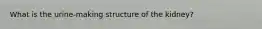 What is the urine-making structure of the kidney?