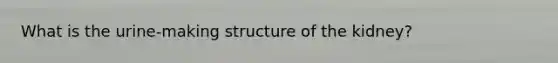 What is the urine-making structure of the kidney?