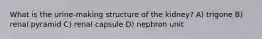 What is the urine-making structure of the kidney? A) trigone B) renal pyramid C) renal capsule D) nephron unit