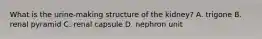 What is the urine-making structure of the kidney? A. trigone B. renal pyramid C. renal capsule D. nephron unit