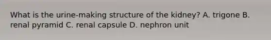 What is the urine-making structure of the kidney? A. trigone B. renal pyramid C. renal capsule D. nephron unit