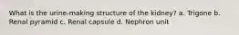 What is the urine-making structure of the kidney? a. Trigone b. Renal pyramid c. Renal capsule d. Nephron unit