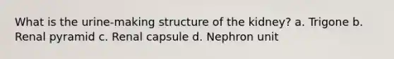 What is the urine-making structure of the kidney? a. Trigone b. Renal pyramid c. Renal capsule d. Nephron unit