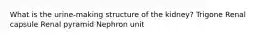 What is the urine-making structure of the kidney? Trigone Renal capsule Renal pyramid Nephron unit