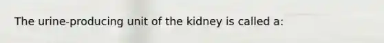 The urine-producing unit of the kidney is called a: