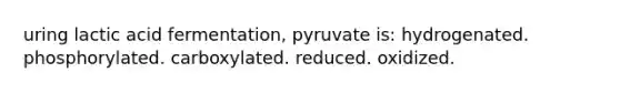 uring lactic acid fermentation, pyruvate is: hydrogenated. phosphorylated. carboxylated. reduced. oxidized.