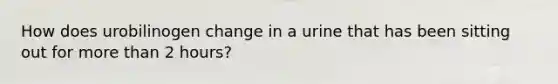 How does urobilinogen change in a urine that has been sitting out for more than 2 hours?