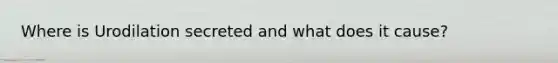 Where is Urodilation secreted and what does it cause?