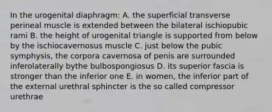 In the urogenital diaphragm: A. the superficial transverse perineal muscle is extended between the bilateral ischiopubic rami B. the height of urogenital triangle is supported from below by the ischiocavernosus muscle C. just below the pubic symphysis, the corpora cavernosa of penis are surrounded inferolaterally bythe bulbospongiosus D. its superior fascia is stronger than the inferior one E. in women, the inferior part of the external urethral sphincter is the so called compressor urethrae