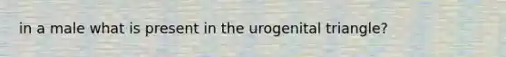 in a male what is present in the urogenital triangle?