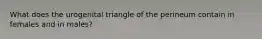 What does the urogenital triangle of the perineum contain in females and in males?