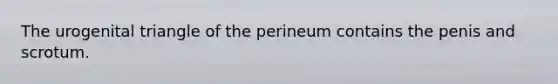 The urogenital triangle of the perineum contains the penis and scrotum.