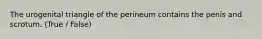 The urogenital triangle of the perineum contains the penis and scrotum. (True / False)