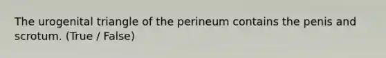 The urogenital triangle of the perineum contains the penis and scrotum. (True / False)