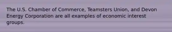 The U.S. Chamber of Commerce, Teamsters Union, and Devon Energy Corporation are all examples of economic interest groups.