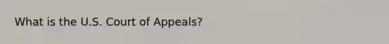 What is the U.S. Court of Appeals?