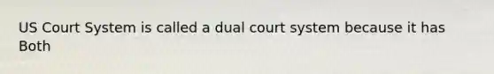 US Court System is called a dual court system because it has Both