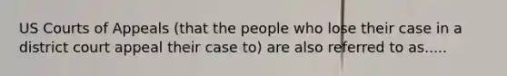 US Courts of Appeals (that the people who lose their case in a district court appeal their case to) are also referred to as.....