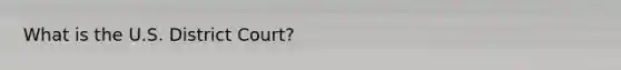 What is the U.S. District Court?