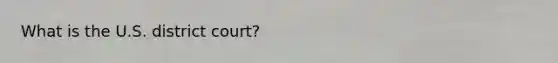 What is the U.S. district court?