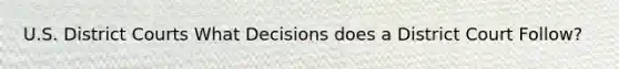 U.S. District Courts What Decisions does a District Court Follow?