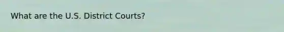 What are the U.S. District Courts?