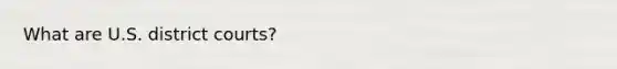 What are U.S. district courts?