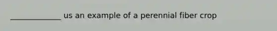 _____________ us an example of a perennial fiber crop