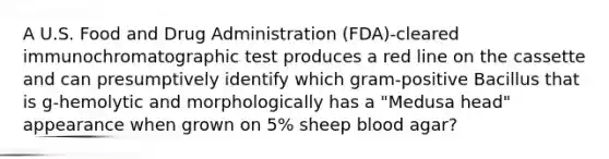 A U.S. Food and Drug Administration (FDA)-cleared immunochromatographic test produces a red line on the cassette and can presumptively identify which gram-positive Bacillus that is g-hemolytic and morphologically has a "Medusa head" appearance when grown on 5% sheep blood agar?