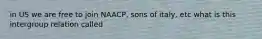 in US we are free to join NAACP, sons of italy, etc what is this intergroup relation called