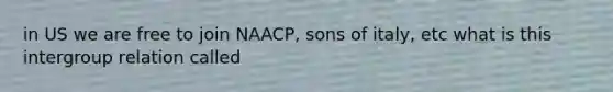 in US we are free to join NAACP, sons of italy, etc what is this intergroup relation called