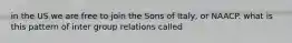 in the US we are free to join the Sons of Italy, or NAACP. what is this pattern of inter group relations called