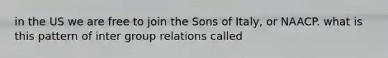 in the US we are free to join the Sons of Italy, or NAACP. what is this pattern of inter group relations called