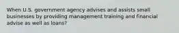 When U.S. government agency advises and assists small businesses by providing management training and financial advise as well as loans?